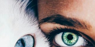 Gözler ve dokunuş arasında bağlantı var mı?