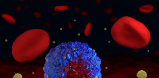 Umut Verici Kanser Çalışmaları