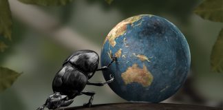 Hayvanlar Dünyayı Nasıl Algılıyor?