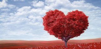 Midede Uçuşan Kelebeklere Dikkat! Aşk Hasta Edebilir