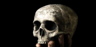 2019’da Ortaya Çıkan Büyüleyici Bulgular