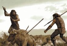 ERKEK CİNSİYETİ SORUNSALI